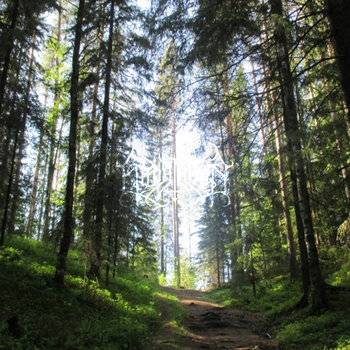 Epäihminen : Opus 0 EP